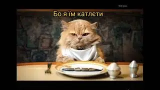 #кот#путинхуйло#сирена#война