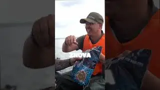 👮‍♂️Kontrola montáží na pegu číslo 9 s nečekaným rozuzlením🤣