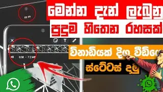 Amazing New Whatsapp Status Update | Secret Tricks | Sinhala | Dulen Tech Lk