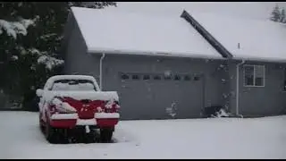 Late Winter Snowfall in rural Polk County. March 1st, 2004.