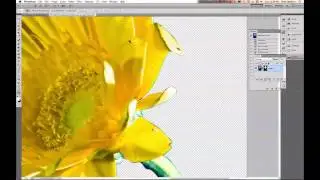 Clipping Paths: EP 218: Digital Photography 1 on 1