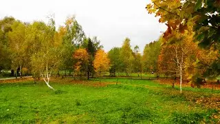 Красота осени