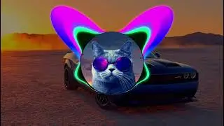 Bogdan DLP & ZANNI-Obsesia(club remix)(bass boosted)