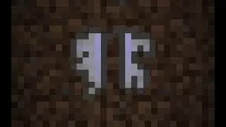 Элитры.