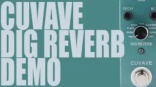 Cuvave - Dig Reverb - Demo