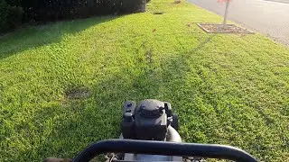 POV Lawn Mowing in Winter ❄️ | Honda-Powered Masport Mulching Magic! 🌱