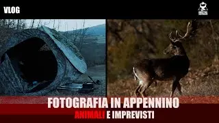FOTOGRAFIA IN APPENNINO - VLOG Pt 2 - Animali e imprevisti