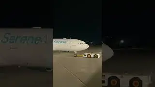 Qatar Airways & Serene #shorts