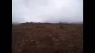 Large Munsterlander training in Alaska