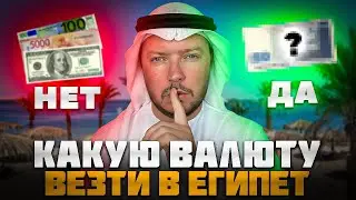 What currency to take to Egypt: euros or dollars? Secrets of exchange in 2025!