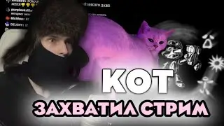 КОТ ЗАХВАТИЛ СТРИМ ФЕОФИЛОВА | НАРЕЗКИ СО СТРИМА ФЕОФИЛОВА