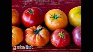 Piedmont Grocery Co - Local Vegetables - Oakland CA 94611