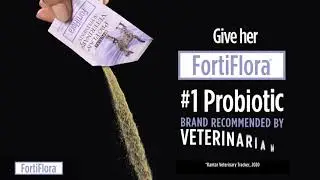 Promote a Strong Immune System in Pets with FortiFlora