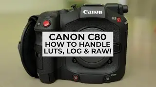 CANON C80 - How To Handle LUTS, LOG & RAW (Where to download and how to apply LUTS)