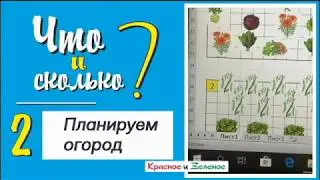 Планируем посадки в огороде. Удачные и плохие соседи на грядках. Ч2