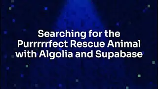 Searching for the Purrrrrfect Rescue Animal with Algolia and Supabase