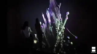 FLEX / New York / interactive installation