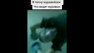 😅 ПОСТИРОНИЯ В ТИК ТОКЕ 🤣 ПОДБОРКА ТИК ТОК 😂 ПОСТИРОНИЯ ТИК ТОК НОВОЕ