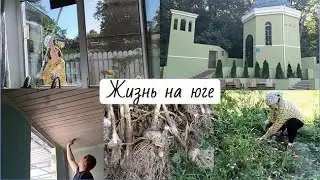 The vegetable garden is overgrown, the house is a mess // Trip to Shchelokov spring // Continuati...
