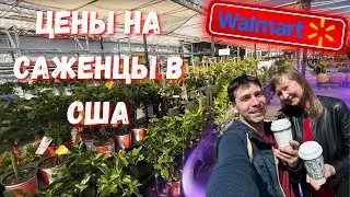 Закупка в Волмарт весеняя распродажа Все для Дачи и Дома