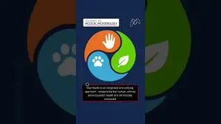 Communicating and disseminating One Health: successes of the One Health European Joint Programme