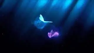 Flying Dreams #intro😍
