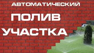 Полив. Ошибки потребителей при планировании систем полива