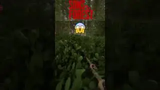 jump scare while playing Sons of the Forest Multiplayer | 