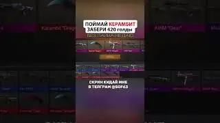 10 августа 2024 г.