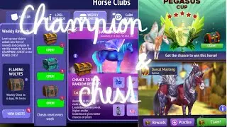 Champion chest and race chests - Horse Riding Tales