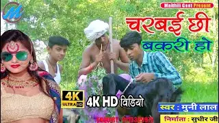 पढ़ लिख के बाबा चरबई छी बकरी हो  Full Comady 4k HD Video Song 2021 Munilal Ka DJ Comady Video