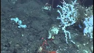 GB535 _2011_YT.mov