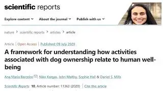 Pet Related Activities And Human Well-being: The Helpful And The Harmful