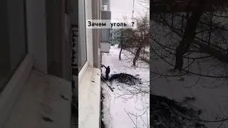Привезли угля в пятиэтажку 🤦. 1 января.