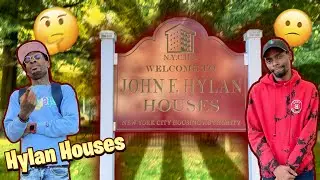 INSIDE HYLAN PROJECTS (BROOKLYN)