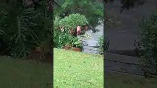 MAN TRYING TO SAVE DOCK FROM FLOATING AWAY ‼️🌪️💨 HURRICANE 🌀 IAN‼️