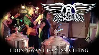 Aerosmith - I Don't Want To Miss A Thing (from 