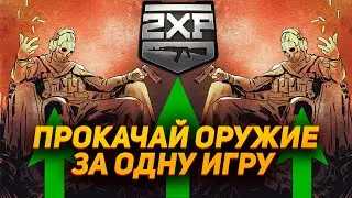 Как быстро прокачать оружие в Warzone 2.0?