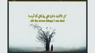 Bread - Diary مترجمة