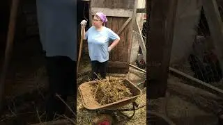 Чищу в сарае