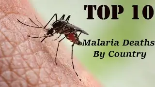 TOP 10-Malaria Deaths Countries (1990-2017)