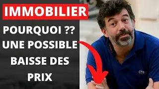 LA CHUTE de L'IMMOBILIER ?