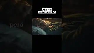 Ve el video completo sobre la rumiación en mi canal... #psicologia #ansiedad #mentalhealth