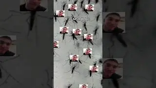 #мем