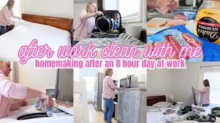 Balancing home and a full time job: My Daily Cleaning Chores