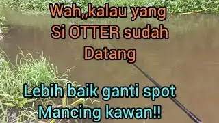 Pemburu ikan paling handal muncul//ikan takut!!#mancing #mancingmania #microfishing