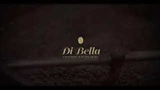 Introducing Di Bella - Greatness is in the Detail