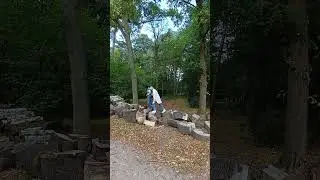 Польський ліс🍁☺️