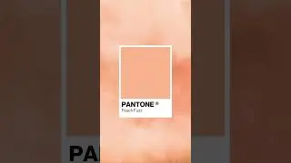 Главный ЦВЕТ 2024 ГОДА. Pantone 2024 Peach Fuzz 13-1023. (персиковый пух)