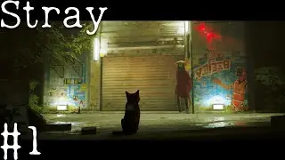 МЕНЯ ПРЕДАЛИ! Stray #1